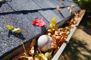 clean your gutters in the fall
